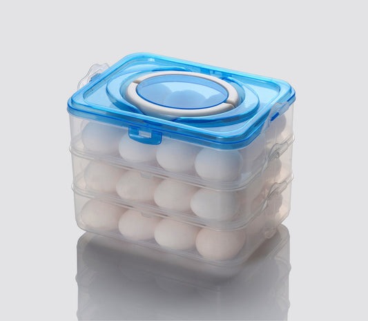 Egg Tray For Refrigerator (36)